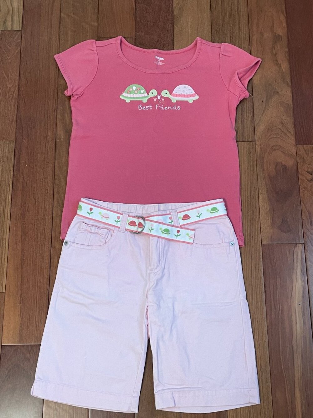 Gymboree Tulip Garden turtle top / Bermuda shorts 10/12